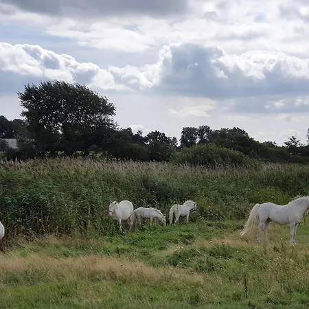 10 Person In Nordborg-by Traum 度假居 *
